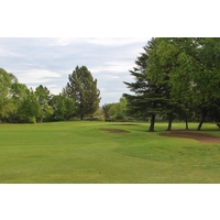 The 10th hole on the championship course at Bing Maloney doglegs left to a difficult approach shot.