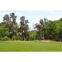 Everybody who plays the 18-holer at Bing Maloney Golf Complex remembers the 12th hole, a severe dogleg left around a huge tree.