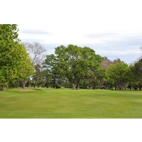 The raised 16th green on the championship course at Bing Maloney Golf Complex isn't easy to hit in regulation from the tees.